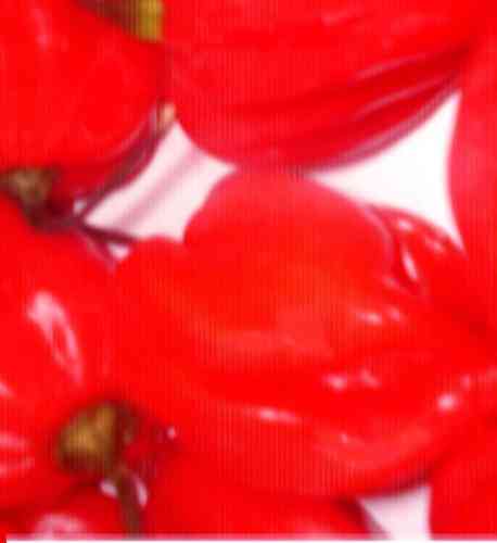 Essbare Pflanze "Hab. Red Chilli" - 1000 Mal schärfer als eine Peperonie
